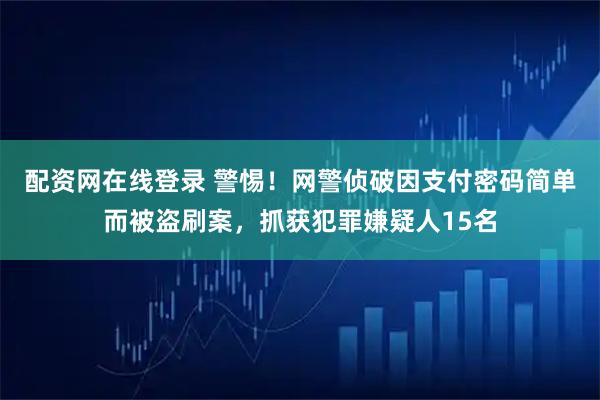 配资网在线登录 警惕！网警侦破因支付密码简单而被盗刷案，抓获犯罪嫌疑人15名